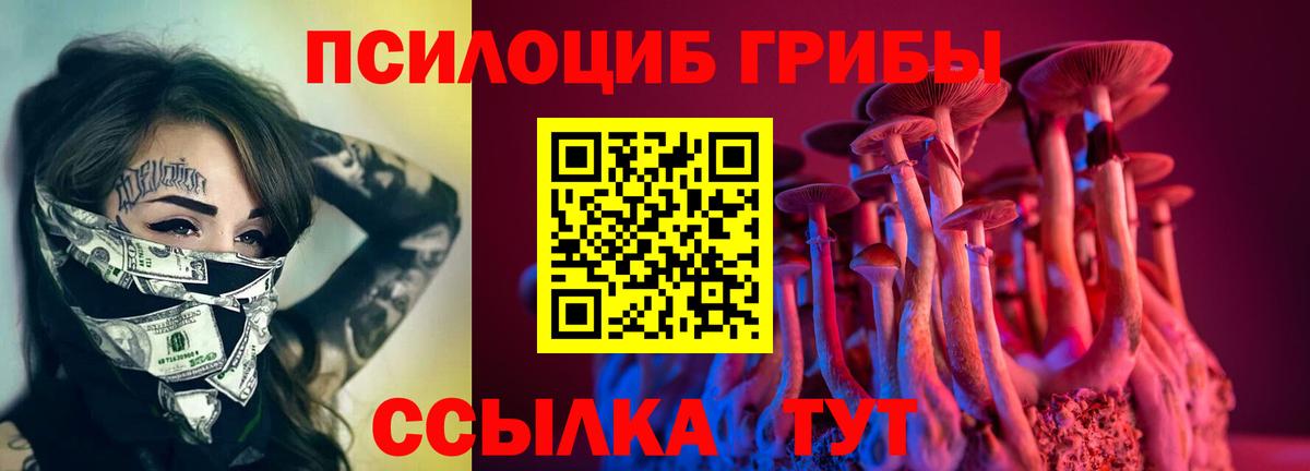 Галлюциногенные грибы мицелий Киселёвск